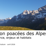 Présentation formation